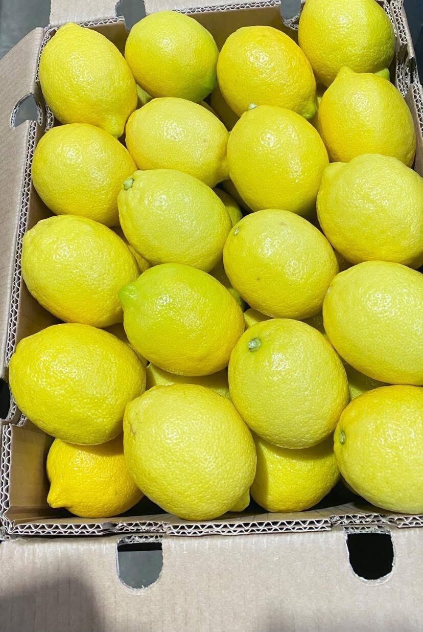 Egyptian Citrus supplied by KEMET