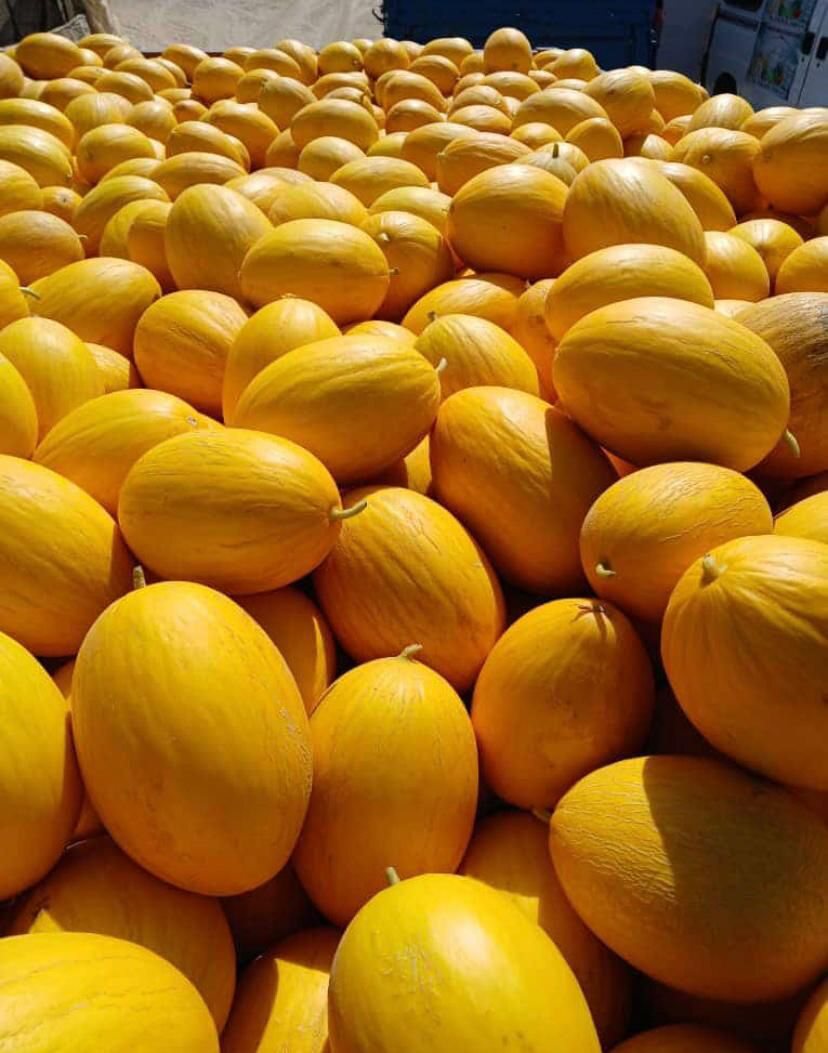 Melon & Cantaloupe supplied by KEMET