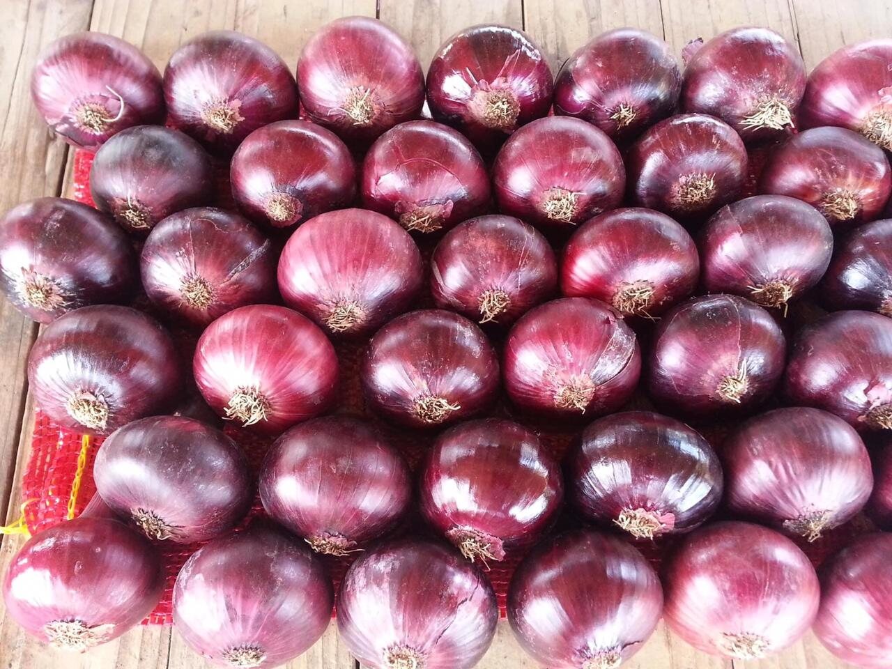 Fresh Onions supplied by KEMET