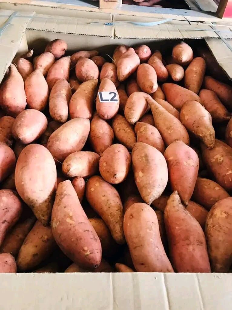 Sweet Potato supplied by KEMET